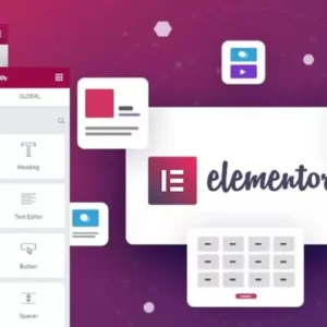 Elementor Pro